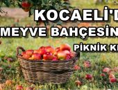 Kocaeli’nin Meyve Bahçesinde Piknik Yapmaya Hazır mısınız?