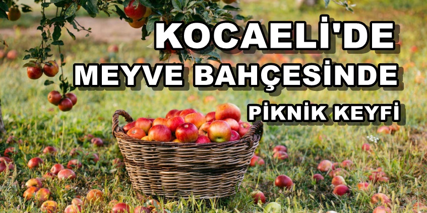 Kocaeli’nin Meyve Bahçesinde Piknik Yapmaya Hazır mısınız?