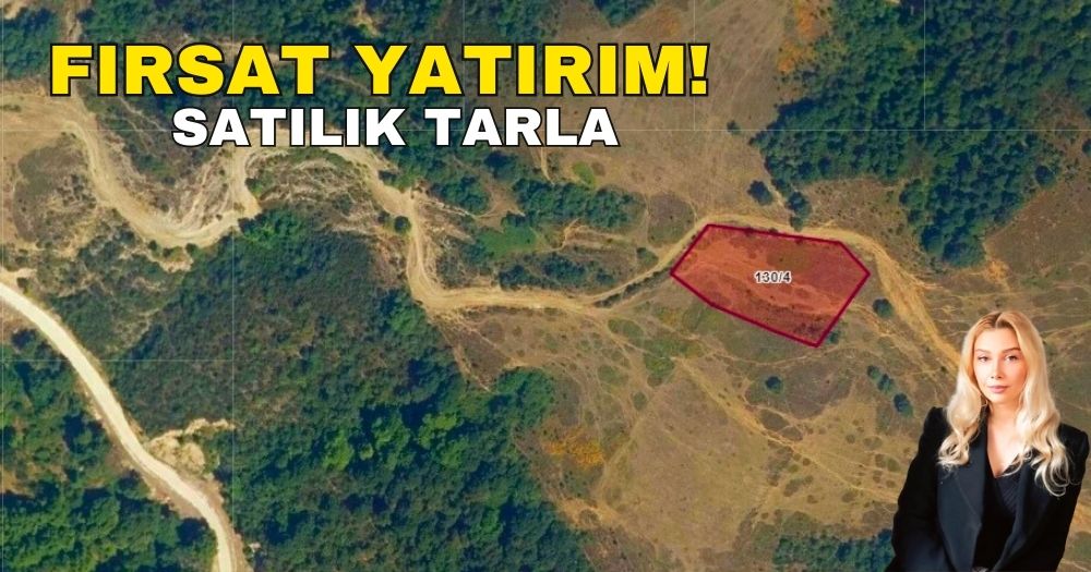 Kocaeli Karamürsel Avcıköy Mahallesi Satılık Tarla & Arsa