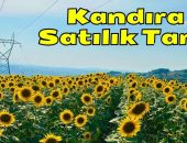 Kocaeli Kandıra Bozburun Mahallesi Satılık Tarla & Arsa